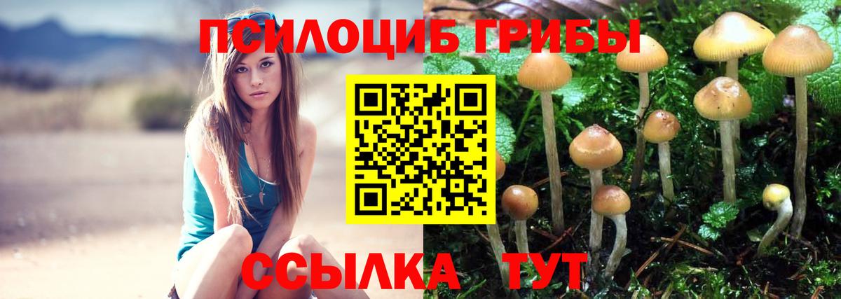 Галлюциногенные грибы GOLDEN TEACHER Гуково